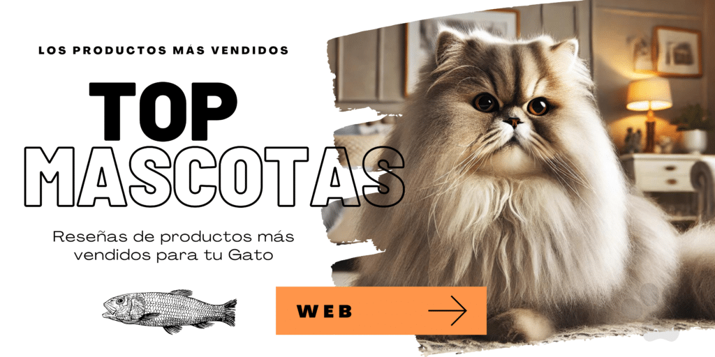 GATOS PERSA